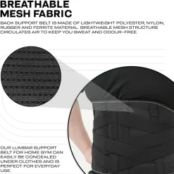RDX PB Adjustable Waist Support Belt Lumber Padded for Lower Back Pain