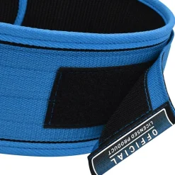 RDX RX1 Weight Lifting Belt