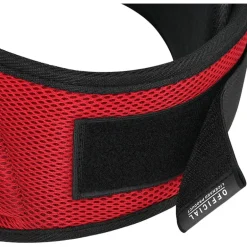 RDX RX4 Weightlifting Belt