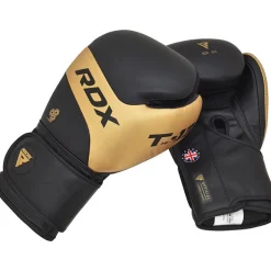 RDX T13 Boxing Gloves & Focus Pads Golden / Black