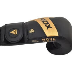 RDX T13 Boxing Gloves & Focus Pads Golden / Black