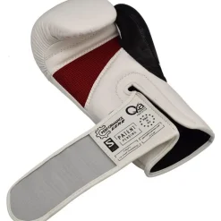 RDX 1W Boxing Gloves & Pads Set